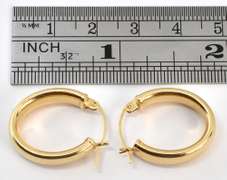 Practically Sized Oval Hoop Earrings