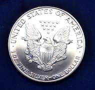 1986 BU Sliver Eagle