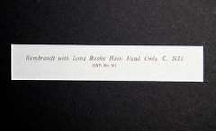 Rembrandt, Rembrandt With Long Bushy Hair