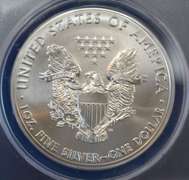 2013 BU Silver Eagle