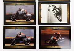 8 Harley Davidson Flat Track Racer Sports Cards