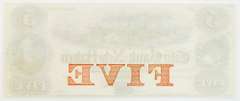 Gem Crisp 1800's $5 Note City Bank Of New Haven Connecticut!