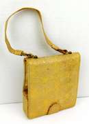 Vintage Ladies Carry All with Opera Glasses