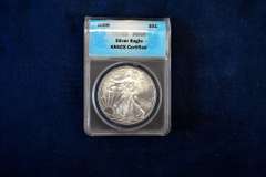 2009 BU Silver Eagle