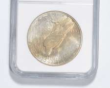 MS61 1923-S Peace Silver Dollar - Graded NGC