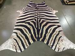 ANIMAL PRINT RUG 6x7