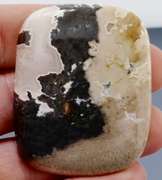 Stunning 114.21ct fossilized Palm Root Jasper and Quartz!