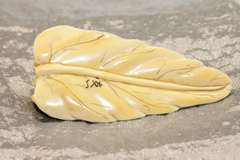 Natural  Ivory Frog on Leaf