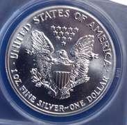 1989 BU Silver Eagle