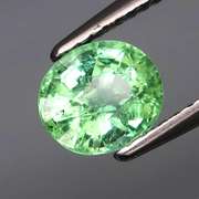 Superb color in this 1.25ct brilliant green Tourmaline