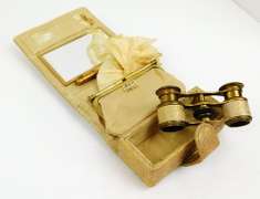 Vintage Ladies Carry All with Opera Glasses