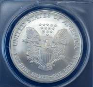 2004 BU Silver Eagle