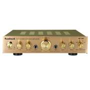 Stereo Power Amplifier 2000W 5 Channel