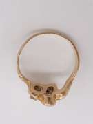 14kt Gold Diamond Ring