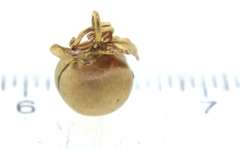Precious 14kt Yellow Gold Apple Charm