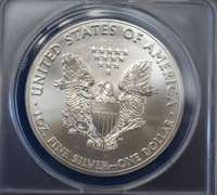2014 BU Silver Eagle