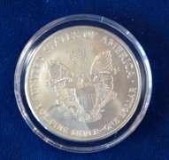 2001 Defenders Of Freedom Colorized Silver Eagle