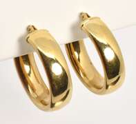 Practically Sized Oval Hoop Earrings