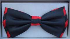 Stylish 100% Silk Bow Tie By Zianni