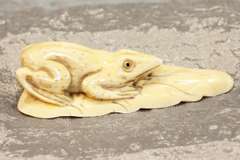 Natural  Ivory Frog on Leaf