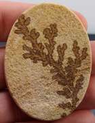 Collectors 127.14ct German Psilomelane Dendrite