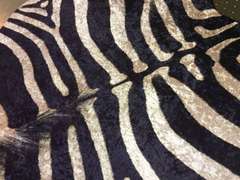 ANIMAL PRINT RUG 6x7
