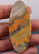 Huge! Vibrant! 80.79ct collectors Bumble bee Jasper