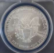 2010 BU Silver Eagle