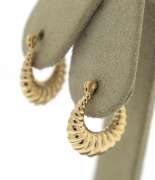 Simple Yellow Gold Shrimp Earrings