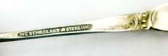 Vintage Sterling Salt Spoon & Salt Dip w/Box