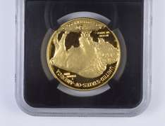 PF70 UCAM 2017-W $50 American Gold Buffalo 1 Oz .999 Fine Gold - NGC