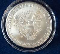 1999 Colorized American Silver Eagle in Capsule with Gift Box