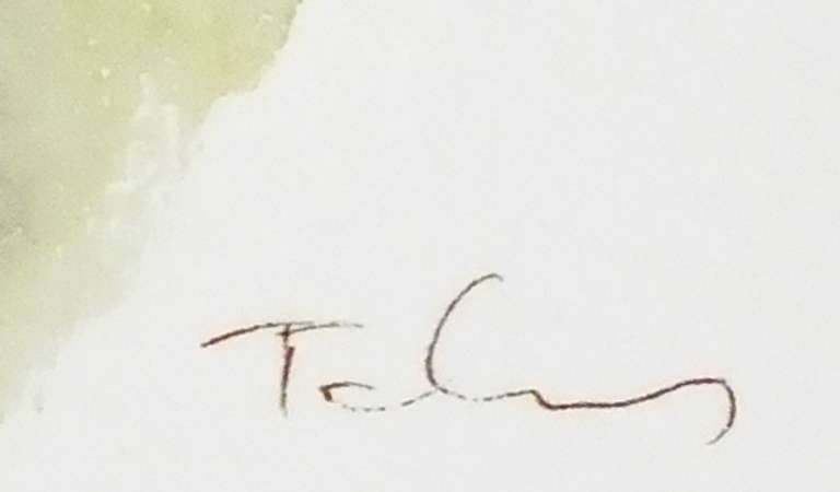 Tarkay Fine Art Collection