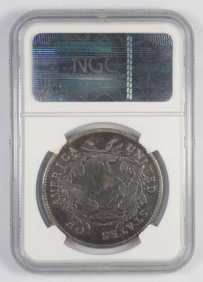 Fine Details 1795 Flowing Hair Dollar - 3 Leaves - Silver Plug - NGC