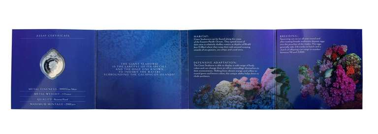 2020 1 OZ Solomon Island Giant Seashore