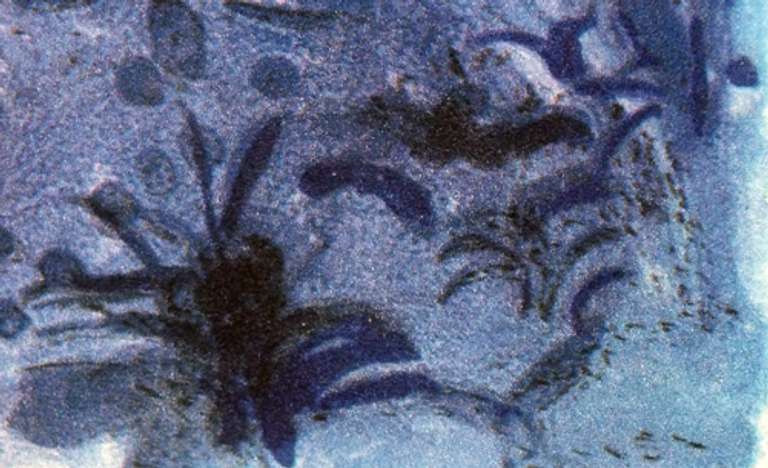 Fine Art Collection Marc Chagall