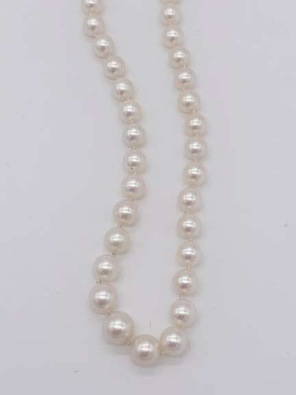 14kt Gold & Pearl Necklace