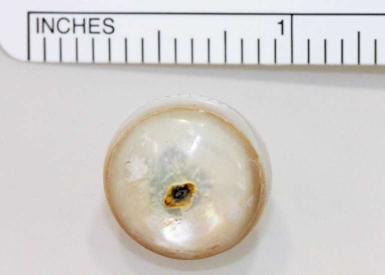 Antique Japanese Mabé Pearl