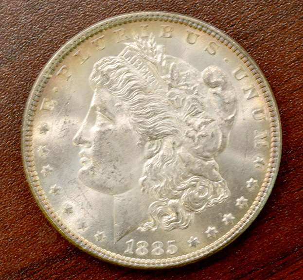 Choice BU 1885 Morgan Dollar