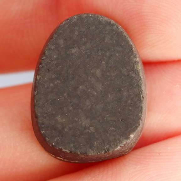 Untreated 20.67ct rainbow flashing Australian Abalone