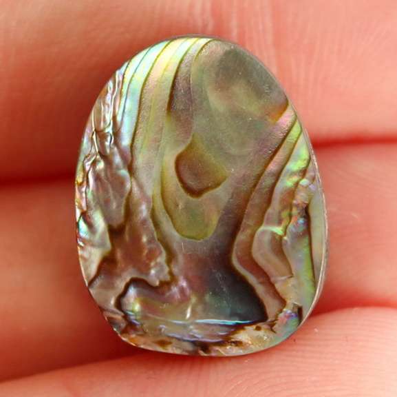 Untreated 20.67ct rainbow flashing Australian Abalone