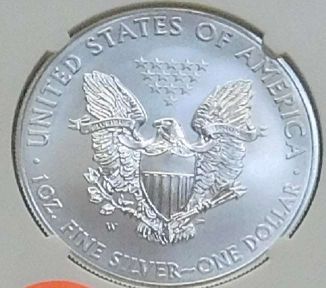 2015-W Burnished Silver Eagle NGC MS-69