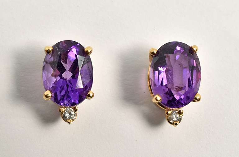 Bright Amethyst Earrings