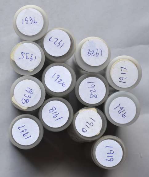13 Circulated Lincoln Cent Rolls 1910 P 1916 P -1919 P  1926-1929 P 1935-1938 P