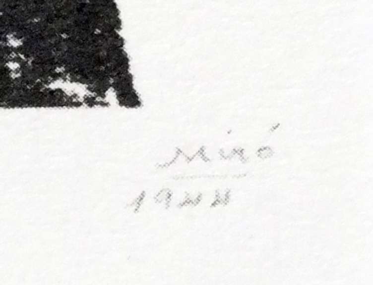 Miro Fine Art Collection