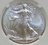 2015-W Burnished Silver Eagle NGC MS-69