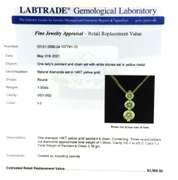Dreamy Yellow Gold 1ctw RBC Diamond Pendant on Chain