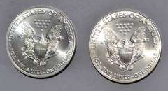 2 2021 Unc Silver Eagles