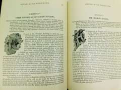 1893 Pictorial History of World's Fair Antique Book