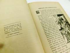 1906 Woman - GirlHood, WifeHood, MotherHood